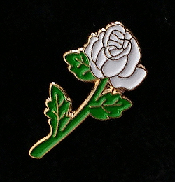 White Rose Lapel Pin to benefit ACLU