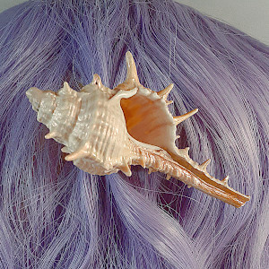 Murex Barrette