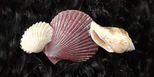 3 Inch Shell Barrette