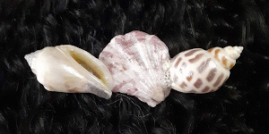 3 Inch Shell Barrette