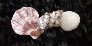 3 Inch Shell Barrette