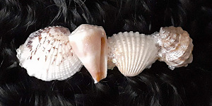 3 Inch Shell Barrette