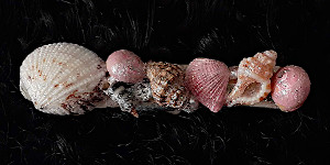 3 Inch Shell Barrette