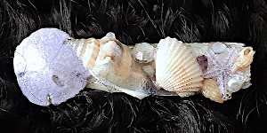 3 Inch Shell Barrette