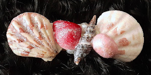 3 Inch Shell Barrette