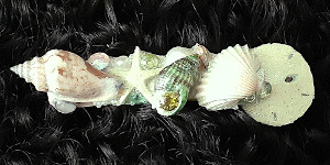 3 Inch Shell Barrette