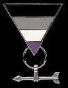 Asexual aromantic lapel pin