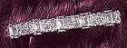 Polaris Austrian Crystal Barrette